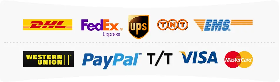 Logistics and Payment Methods