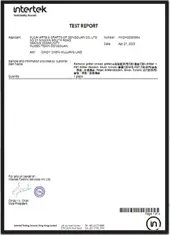 Test Report